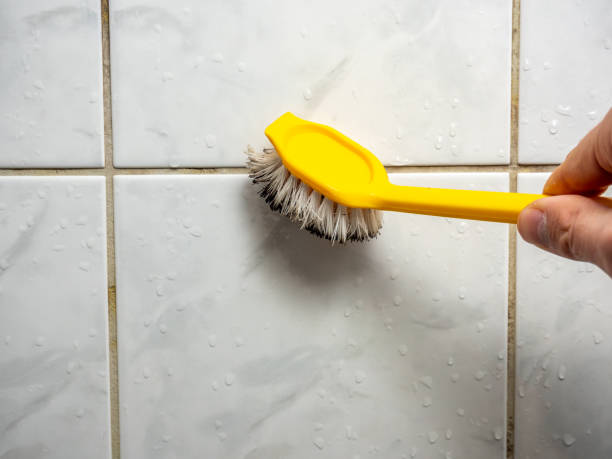Best Residential Mold Remediation in Lexington, SC
